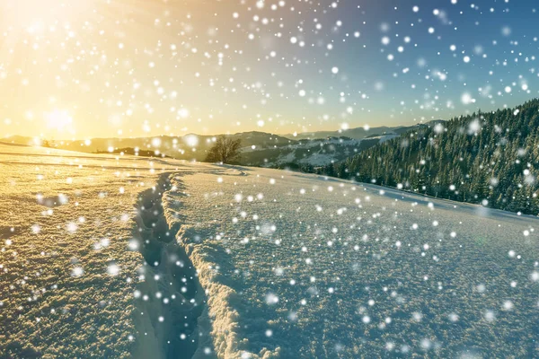 Zima Boże Narodzenie krajobraz o świcie. Ścieżka śladu ludzkiego i — Zdjęcie stockowe