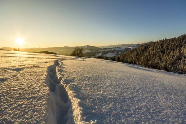 Beautiful winter Christmas landscape. Human footprint track path