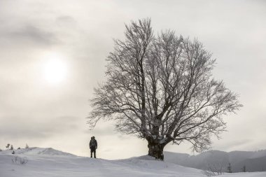 Beyaz temiz içinde sırt çantası ayakta turist otostopçu arka görünümü