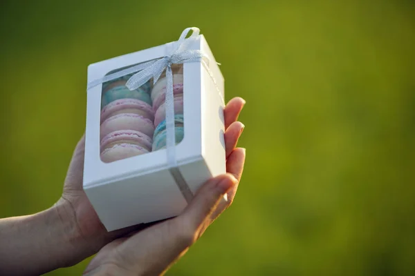 Mains féminines tenant boîte cadeau en carton avec bleu rose coloré — Photo