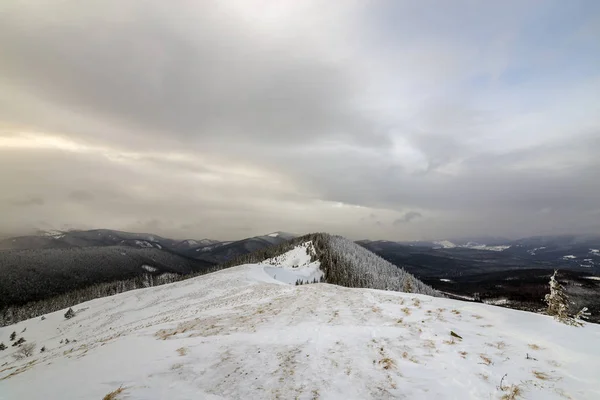 Winterliche Berglandschaft, schneebedeckte Gipfel und Fichten unter kl. — Stockfoto