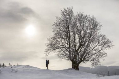 Beyaz temiz içinde sırt çantası ayakta turist otostopçu arka görünümü