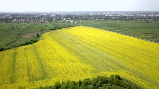 Letecký Pohled Žlutá Zelená Pole Zemědělců Jaře — Stock video