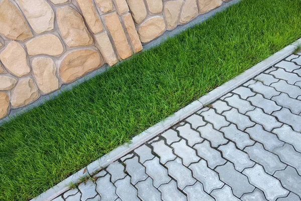 Trottoir pavé de briques de ciment et pelouse avec herbe verte . — Photo
