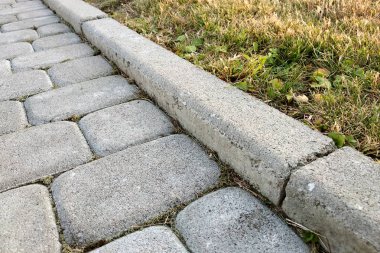 Park veya arka bahçede levha taş döşeli yol yakın çekim. Walkw