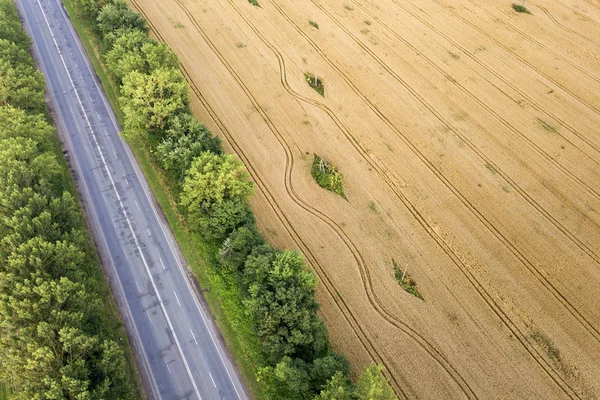 Vista aérea de un camino entre campos de trigo amarillo y árbol verde — Foto de Stock