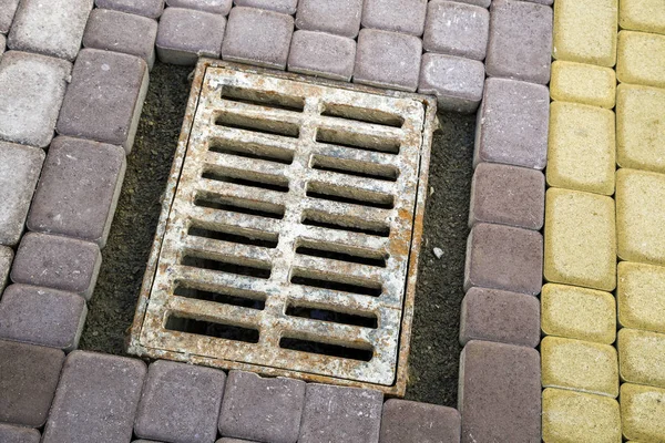 Instalación de losas de pavimentación de piedra en un patio . —  Fotos de Stock