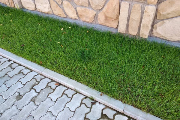 Sidewalk paved with cement bricks and lawn with green grass.