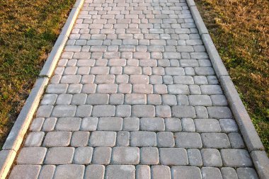 Park veya arka bahçede levha taş döşeli yol yakın çekim. Walkw