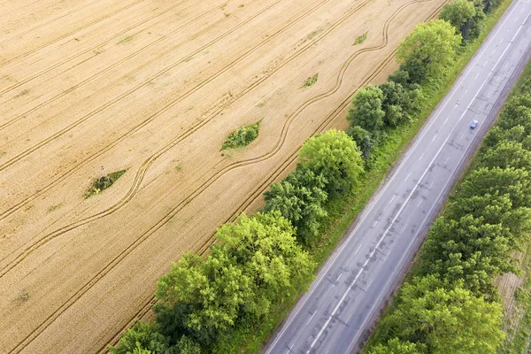 Vista aérea de un camino entre campos de trigo amarillo y árbol verde — Foto de Stock