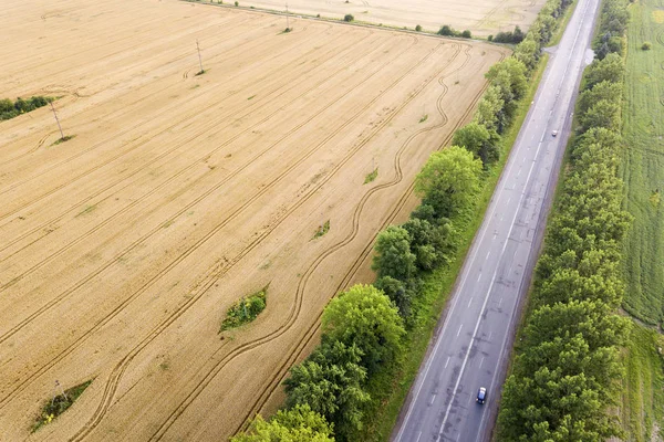 Vista aérea de un camino entre campos de trigo amarillo y árbol verde — Foto de Stock