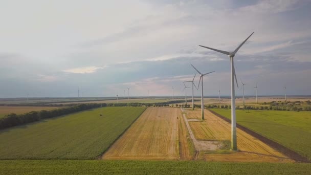 清潔な生態系電気を生成するフィールドにおける風力タービン発電機の空中ビュー — ストック動画