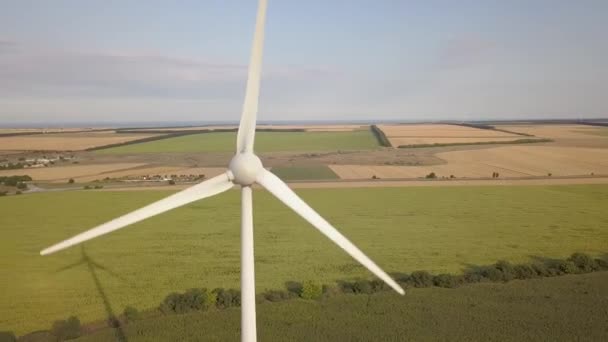 Vista Aérea Geradores Turbinas Eólicas Campo Produzindo Eletricidade Ecológica Limpa — Vídeo de Stock