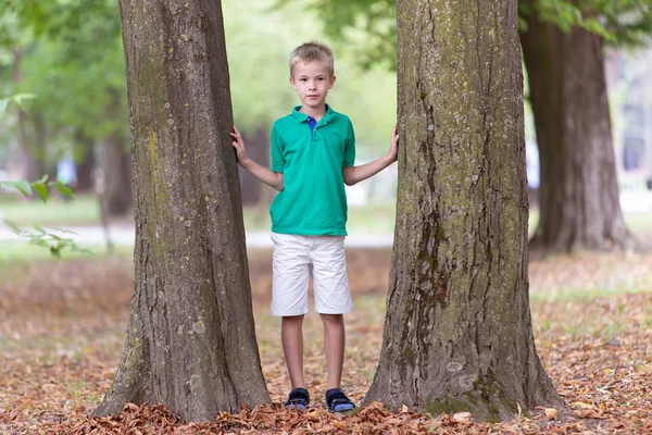 Büyük bir ağaç gövdesinin yanında duran sevimli bir çocuğun portresi. — Stok fotoğraf