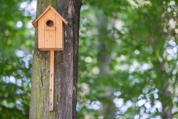 Gelbes hölzernes Vogelhaus auf einem Baumstamm im grünen Park. — Stockfoto