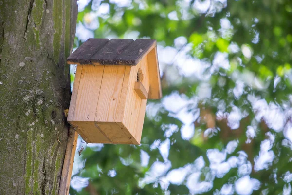 Žlutý dřevěný ptačí dům na kmeni stromu v zeleném parku venku. — Stock fotografie