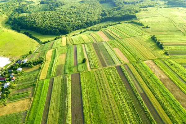 Vista Aérea Campos Agrícolas Verdes Primavera Con Vegetación Fresca Después — Foto de Stock