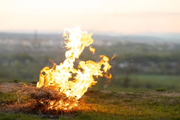 Großes Helles Lagerfeuer Auf Dem Feld Abend — Stockfoto