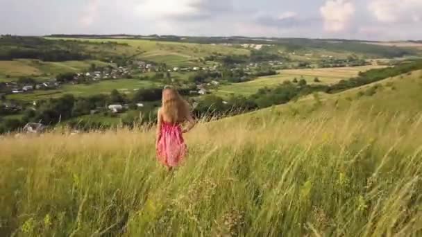 Mujer Yong Con Pelo Largo Vestido Rojo Caminando Campo Verano — Vídeo de stock