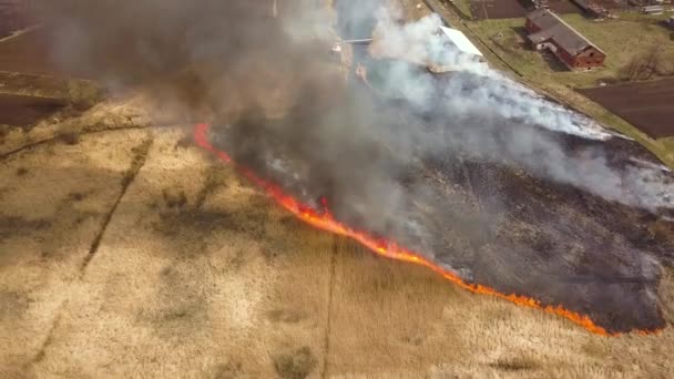 Kuru Otların Yandığı Turuncu Alevler Yüksek Dumanlı Bir Arazinin Havadan — Stok video