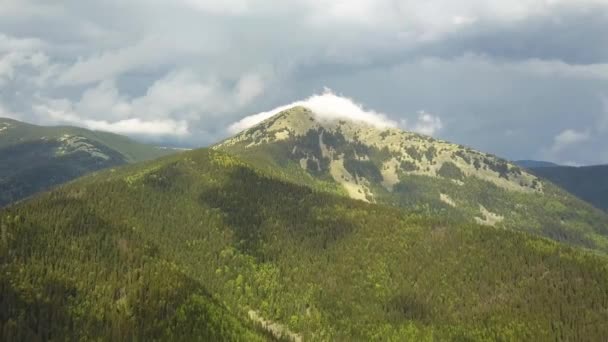 Вид Воздуха Высокие Горы Покрытые Зелеными Еловыми Лесами Облачную Летнюю — стоковое видео