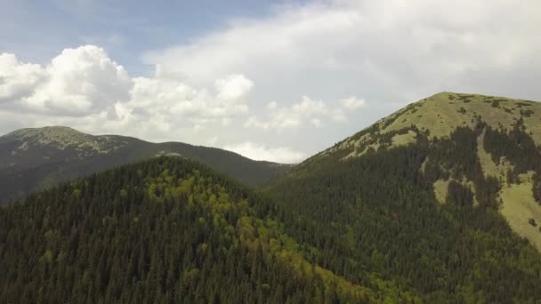 Vista Aérea Altas Montanhas Cobertas Com Floresta Abeto Verde Tempo — Vídeo de Stock