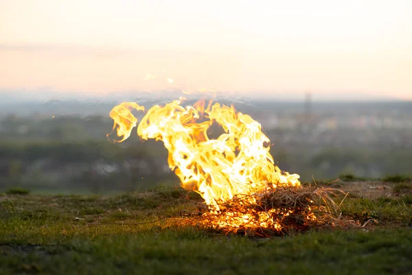 Großes Helles Lagerfeuer Auf Dem Feld Abend — Stockfoto