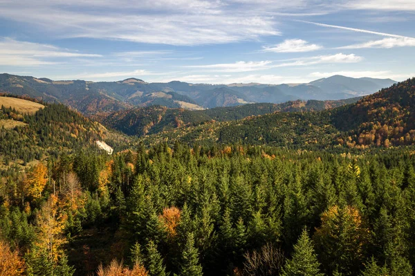 Aerial View Autumn Mountain Landscape Evergreen Pine Trees Yellow Fall — Stock Photo, Image