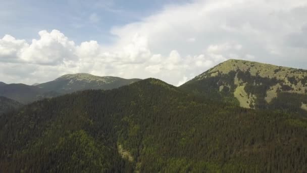 Widok Lotu Ptaka Wysokie Góry Pokryte Zielonym Świerkowym Lasem Pochmurne — Wideo stockowe