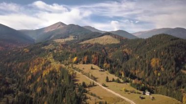 Uçan sonbahar manzarası sonsuz yeşil çam ağaçları ve uzaklıktaki magneztik dağları olan sarı sonbahar ormanı..