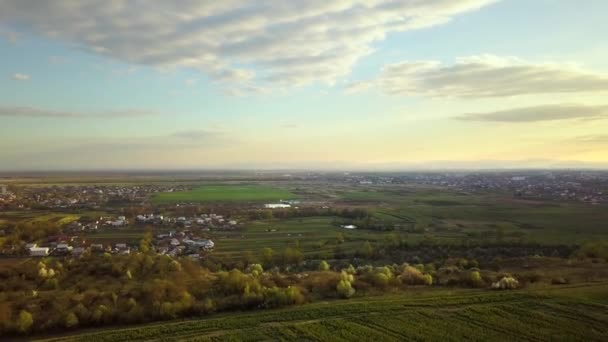 Widok Lotu Ptaka Świeże Drzewa Ogrodowe Pola Uprawne Odległe Domy — Wideo stockowe