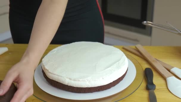 Κοντινό Πλάνο Των Γυναικείων Χεριών Κάνοντας Γλυκό Κέικ Λευκή Κρέμα — Αρχείο Βίντεο