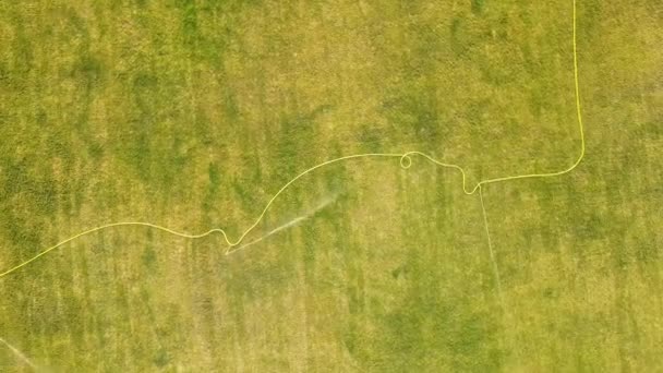 緑の芝生と散水水を噴霧スプリンクラーで覆われたサッカー場の表面の空中ビューのトップダウン — ストック動画