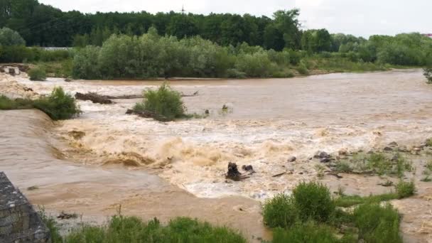 Bred Smutsig Flod Med Lerigt Vatten Översvämningsperioden Kraftiga Regn Våren — Stockvideo