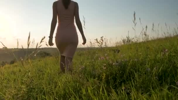 Mujer Joven Vestido Verano Rosa Caminando Prado Hierba Verde Aire — Vídeos de Stock