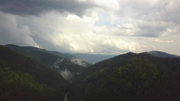 曇りの夏の天候で緑豊かなスプルースの森に覆われた高い山の空中ビュー — ストック動画