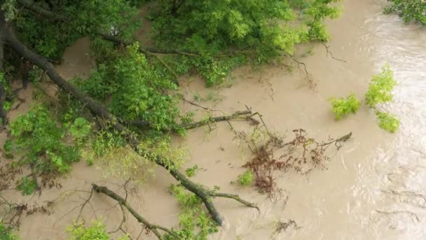 Schmutziger Fluss Mit Schlammigem Wasser Überschwemmungszeiten Bei Starkregen Frühjahr — Stockvideo