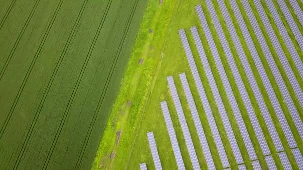 Vista Aérea Planta Energía Solar Campo Verde Paneles Eléctricos Para — Vídeos de Stock