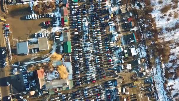 販売車のディーラー市場で多くの車のトップの空中ビュー — ストック動画