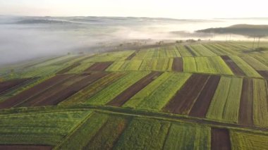 Baharda sarı ve yeşil çiftçi tarlalarının havadan görünüşü.