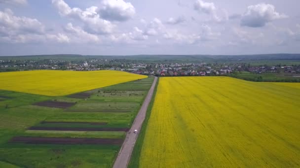 Flygfoto Över Gula Och Gröna Åkrar Våren — Stockvideo