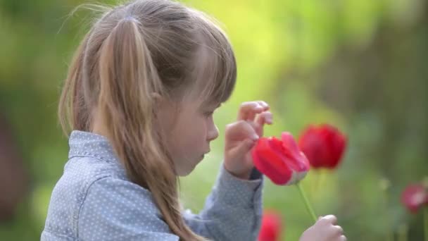 Giovane Bella Bambina Che Gioca Con Fiore Tulipano Rosso Estate — Video Stock