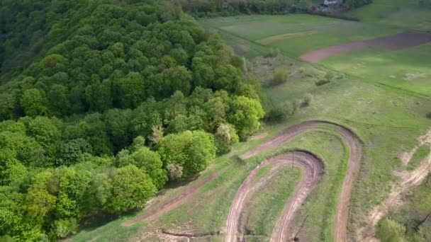 Aerial View Green Summer Forest Tall Trees — Stock Video