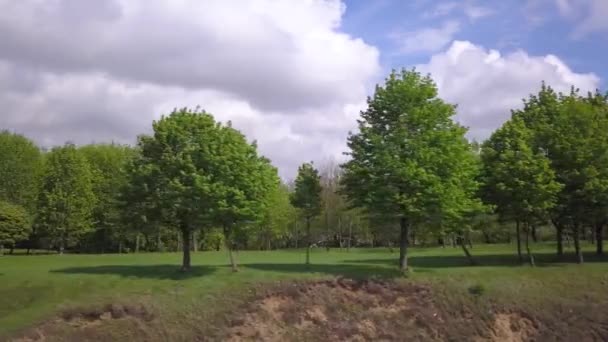 Groene Bomen Zomer Een Met Gras Begroeide Heuvel — Stockvideo