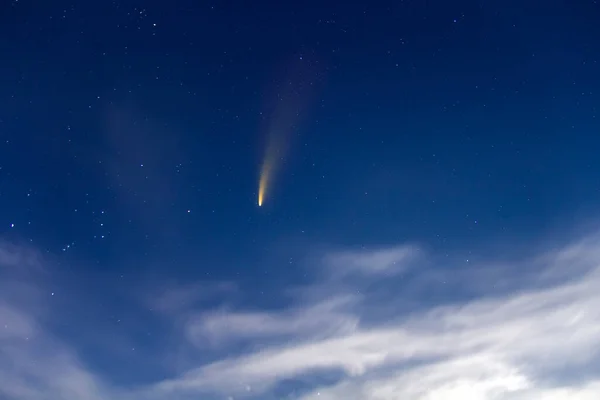 Comète Neowise Avec Queue Claire Dans Ciel Nocturne Bleu Foncé — Photo