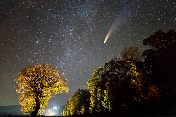 Paysage Nocturne Avec Ciel Étoilé Comète 2020 Neowise Avec Queue — Photo