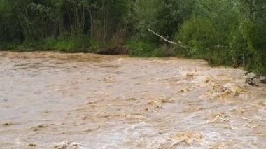 İlkbaharda sağanak yağış sırasında taşkın döneminde çamurlu suyla kirli nehir.