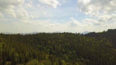 Bulutlu yaz havasında yeşil ladin ormanlarıyla kaplı yüksek dağların havadan görünüşü.