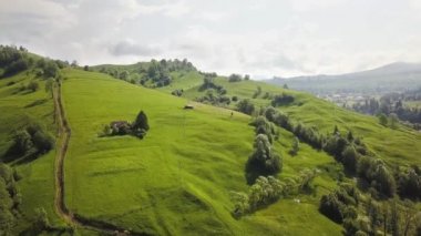 Yeşil tepelerin ve Karpat dağlarının havadan görünüşü yaz güneşli günlerinde çam ormanlarıyla kaplıdır..