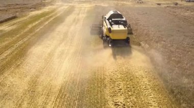 Buğday tarlasını hasat eden hasatçının hava görüntüsü.